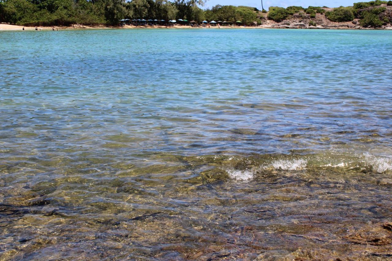 Beachhouse In Barra do Sirinhaém Eksteriør billede